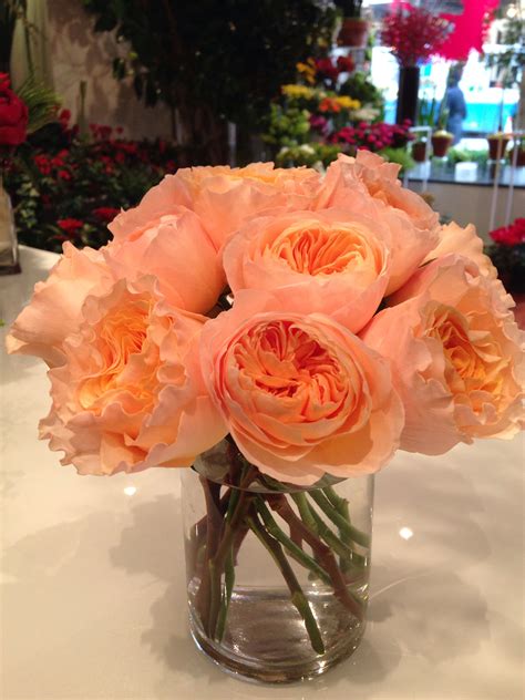 Juliet roses! A :) | Beautiful flowers, Rose, Flowers