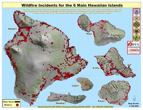 How invasive grasses could have contributed to the magnitude of Maui's fires | Hawai'i Public Radio