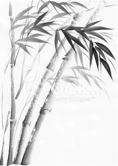 Bamboo Watercolor Painting at PaintingValley.com | Explore collection ...