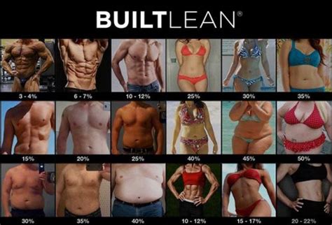 Body Fat Percentage Calculator – Iron Built Fitness