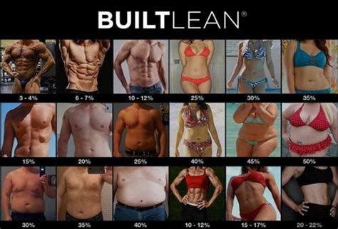 Body Fat Percentage Calculator – Iron Built Fitness