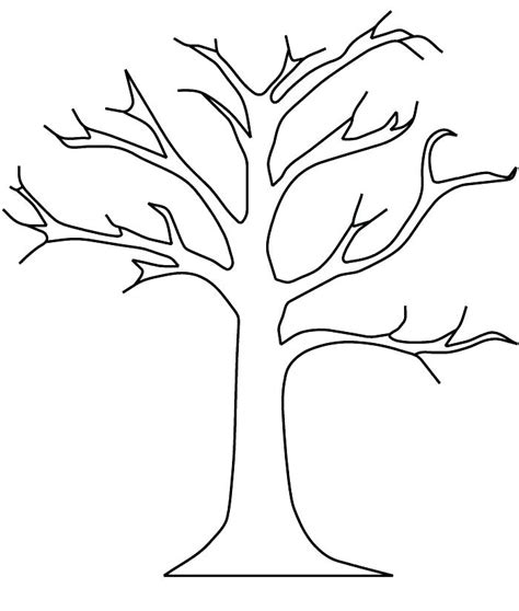 Pecan Tree Drawing at GetDrawings | Free download