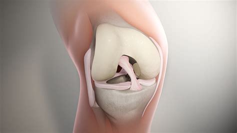 Knee Anatomy - Anterior Cruciate Ligament(ACL) - Scientific Animations