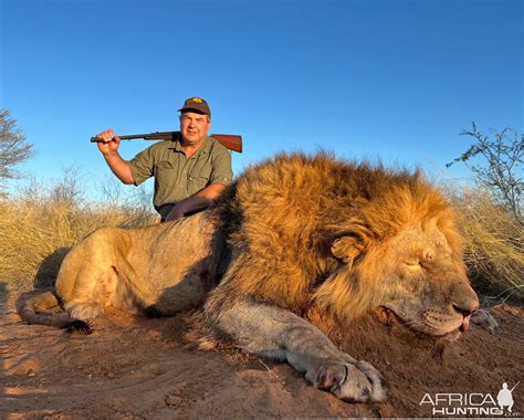 Lion Hunting South Africa | AfricaHunting.com