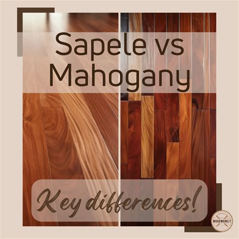 Sapele vs Mahogany: Which Is Better? (2024 Guide!)