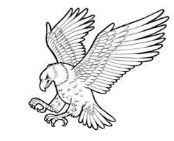 Image result for wood carving templates free | Eagle drawing, Animal ...