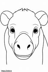 Buffalo Face coloring page sketch template