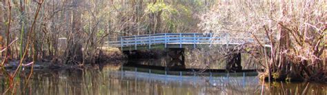 Moore's Creek Bridge - Owlcation - Education