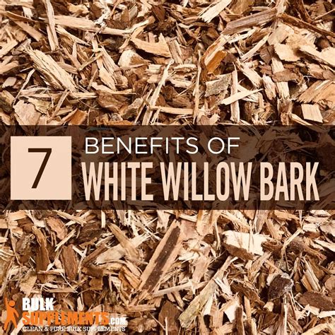 White Willow Bark Extract. Naturally Boost Your Immune System.