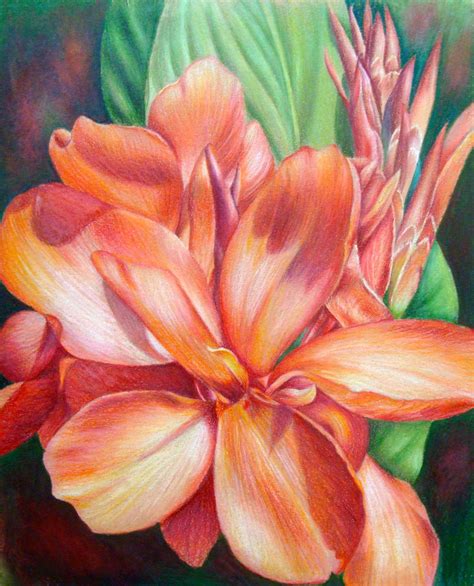 Beautiful work by artist Paula Leopold. http://www.paulaleopold.com | Flower painting, Botanical ...
