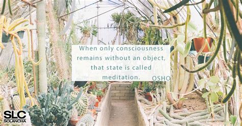 11 Most Inspiring Osho Quotes On Meditation - SOLANCHA