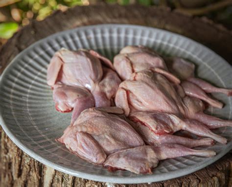 How to Cook Quail Meat, Temperatures, Butchering, and Paring Flavors