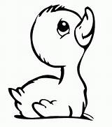 Cute Baby Duck Coloring Pages  Home sketch template