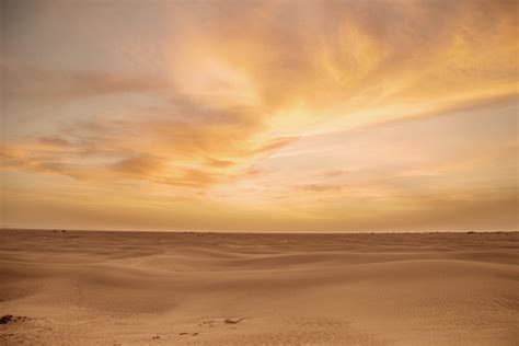 desert Premium Photos, Pictures and Images by Istock