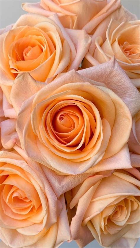 Wholesale Flowers | Wholesale flowers, Online wedding flowers, Pink flowers wallpaper