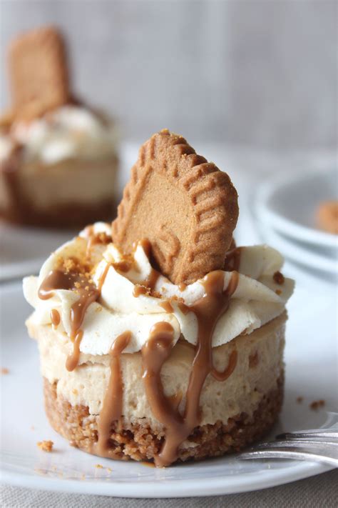 No Bake Mini Lotus Biscoff Cheesecake | Recipe | Food processor recipes ...