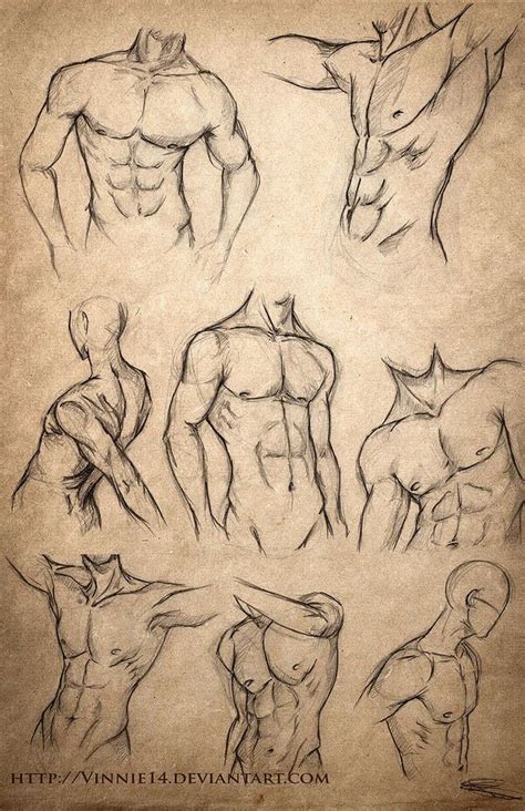 20 Human Anatomy Drawing Ideas and Pose References - Beautiful Dawn ...