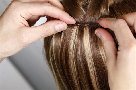 cane da caccia Albero clima come fare lo shampoo con le extension Immagine giurare fucile