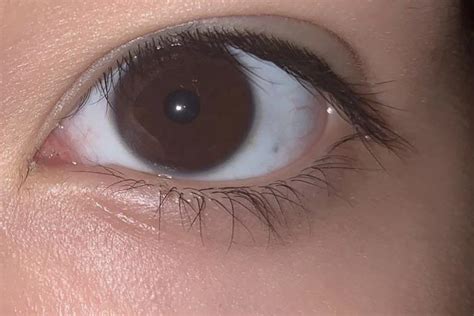 My dark brown eyes almost look black in regular light :(: : r/eyes