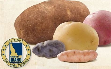 Idaho Potato Commission shows 25 potato varieties and their characteristics | PotatoPro