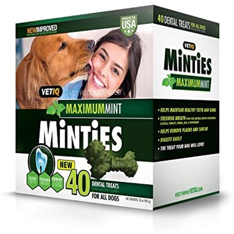 VetIQ Minties Dental Dog Treats, Value 2 Pack ( 80 Count Total ) *** Click image to review more ...