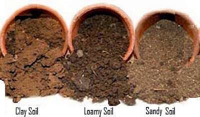 Garden Soil Types, clay soil, loamy soil, sandy soil, chalky soil ...