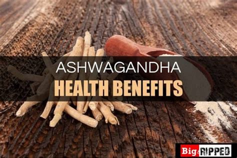 Ashwagandha And Testosterone: Benefits, Side Effects & Dosage