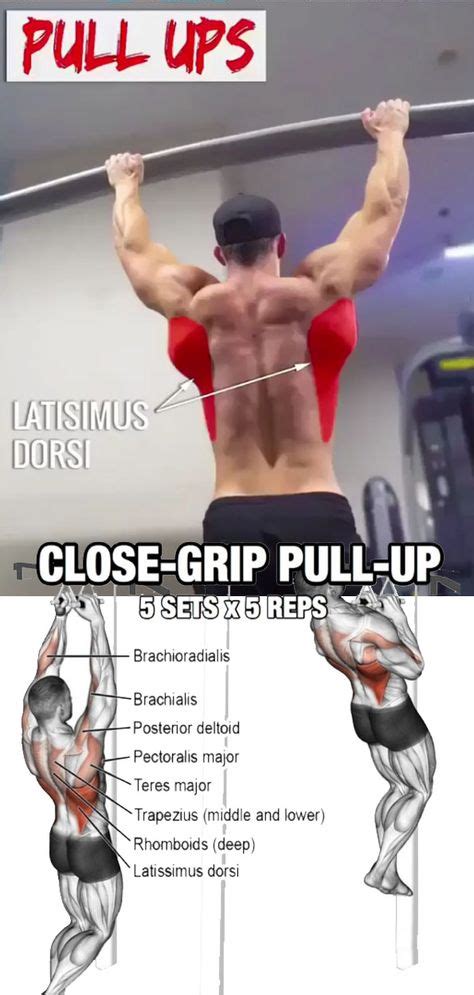 💪HOW TO BACK WORKOUT & PULL-UPS (With images) | Workout programs, Extreme workouts, Workout