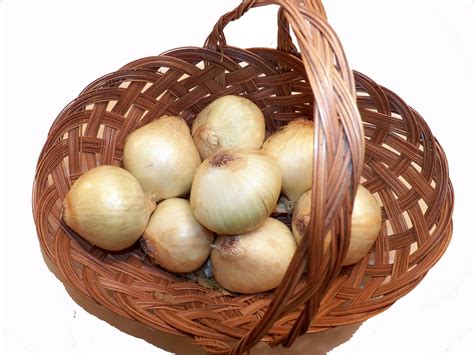 Onions Free Stock Photo - Public Domain Pictures