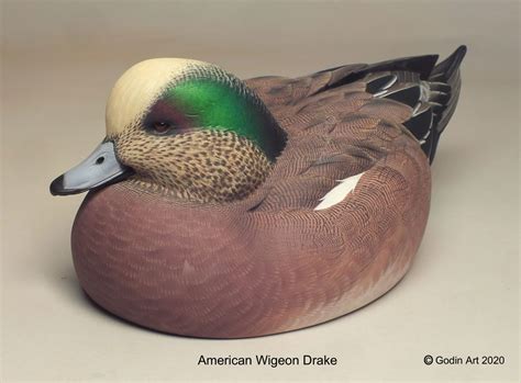 Wigeon Drake (low head) Photo Packet - Godin Art