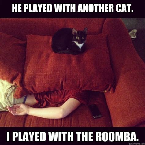 He played with another cat. I played with the Roomba. - jealous cat ...