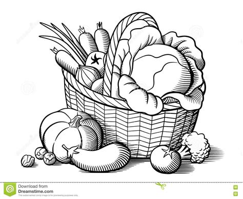 Basket with vegetables stock vector. Illustration of monochrome - 78499439 | Basket drawing ...