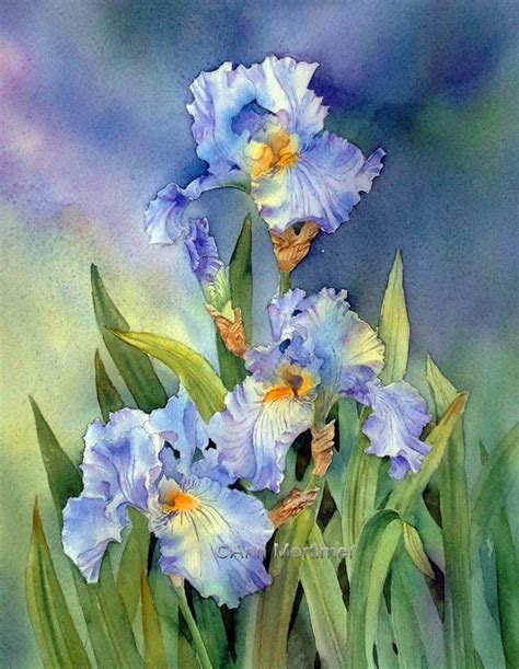 Irises - Ann Mortimer 2015. | Iris art, Iris painting, Watercolor ...