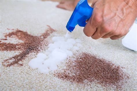 Carpet Spot and Stain Removal Tips: Home: Carpet stain Removal