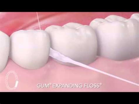 GUM Expanding floss - YouTube