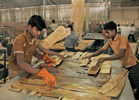 India demand for softwood log imports set to triple by 2021 - Global ...