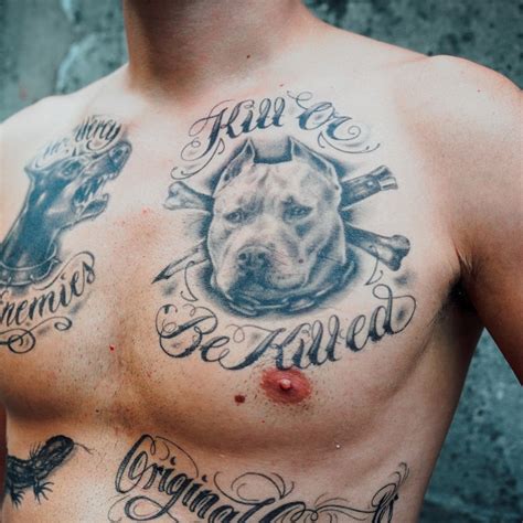 Aggregate 68+ traditional pitbull tattoo - in.coedo.com.vn