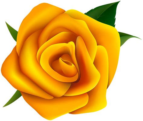 Rose Yellow Clip art - Yellow Rose Clipart PNG Image png download ...