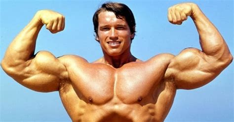 Arnold Schwarzenegger Young Age, Arnold Schwarzenegger Wikipedia, His birthday falls on july 30 ...