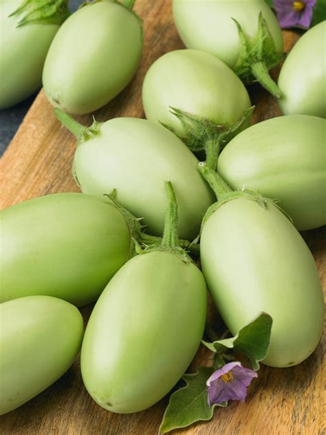 Green Envy Hybrid Eggplant Seeds — Seeds 'n Such