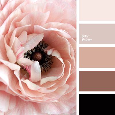 dusty rose color | Color Palette Ideas