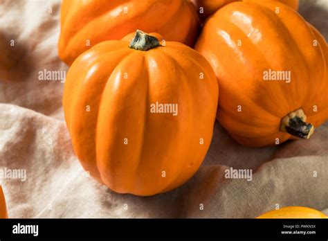 Raw Organic Golden Acorn Squash Ready to Cook Stock Photo - Alamy