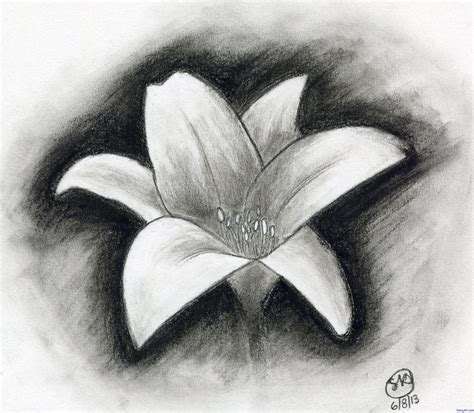 Charcoal Drawing Beginners Easy Charcoal Drawings Flowers Shading ...