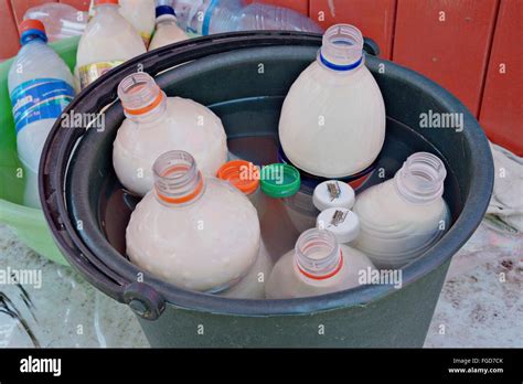 Kumis, fermented mare's milk (alcoholic horse milk) for sale at Karakol ...