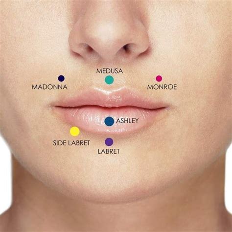 On Lip Piercings: A Complete Guide to All Lip Piercings Types ...