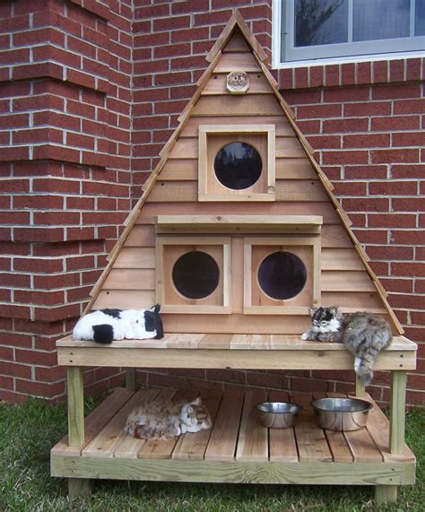 New Ideas Outdoor Cat Houses And Shelters, Important Ideas!