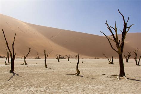 Sossusvlei Namibia. [5184 x 3456] | Earthporn, Namibia, Nature