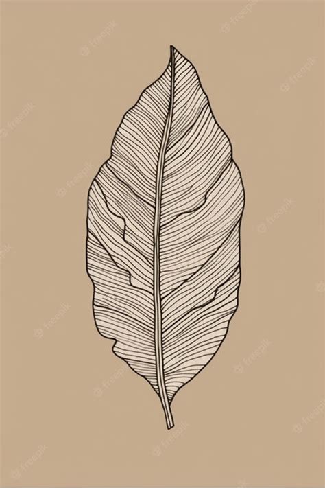 Premium Photo | A drawing of a banana leaf