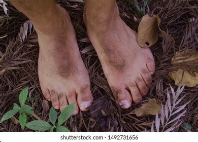 Hobbit Feet Photos and Images | Shutterstock