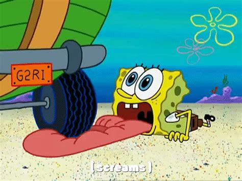 Season 3 Krabby Land GIF by SpongeBob SquarePants - Find & Share on GIPHY